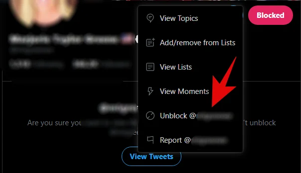 Mit jelent a Soft Block a Twitteren?  Hogyan és miért