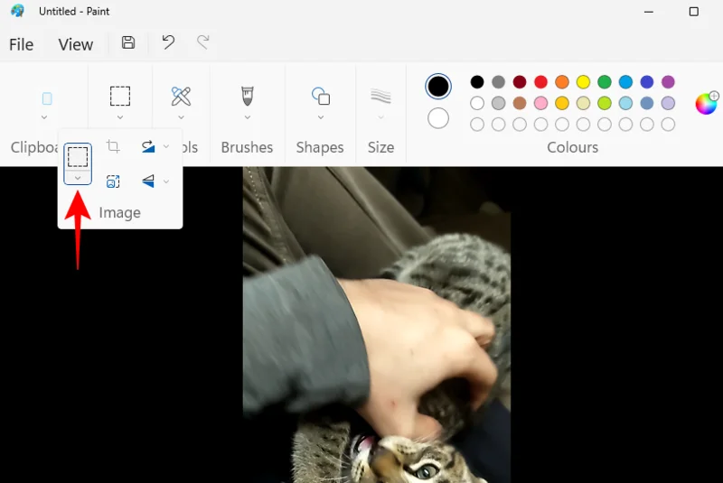Jak zmrazit snímek v Clipchamp: Průvodce krok za krokem