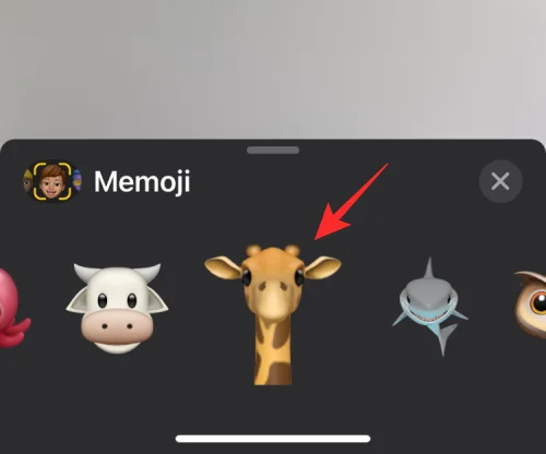 Hvordan få og beholde effekter i FaceTime