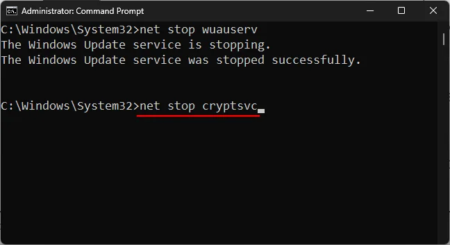 7 způsobů, jak opravit „chybu stahování 0x80248007“ v systému Windows [Průvodce krok za krokem]