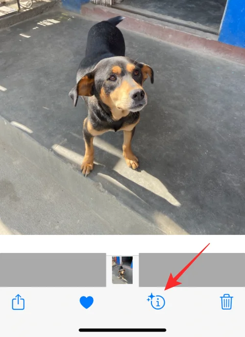A Visual Look Up nem működik iPhone-on?  7 módszer a javításra