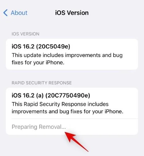 Raske sikkerhetssvar: Slik avinstallerer du sikkerhetsoppdateringer på iPhone og hvorfor