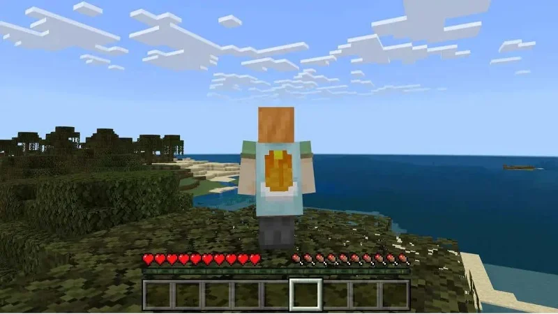 Hvordan få kapper i Minecraft