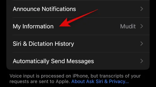 Hur man får Siri på iPhone 14 och använder den