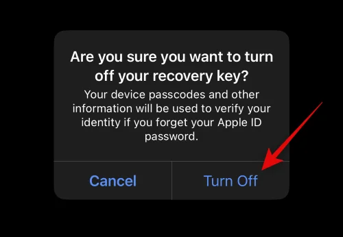 Vad är avancerat dataskydd på iPhone?  Hur man aktiverar det och varför