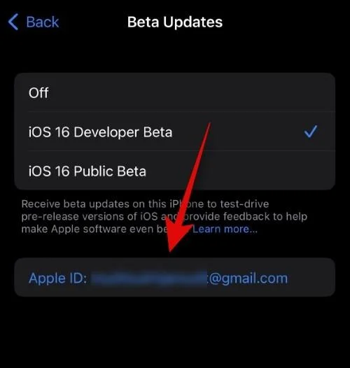 Hur man väljer ett annat Apple-ID för iOS Beta-uppdateringar