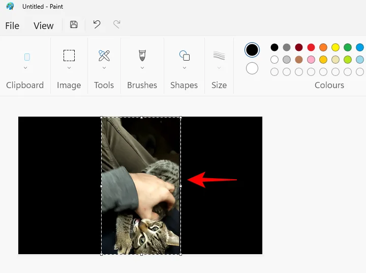 Jak zmrazit snímek v Clipchamp: Průvodce krok za krokem