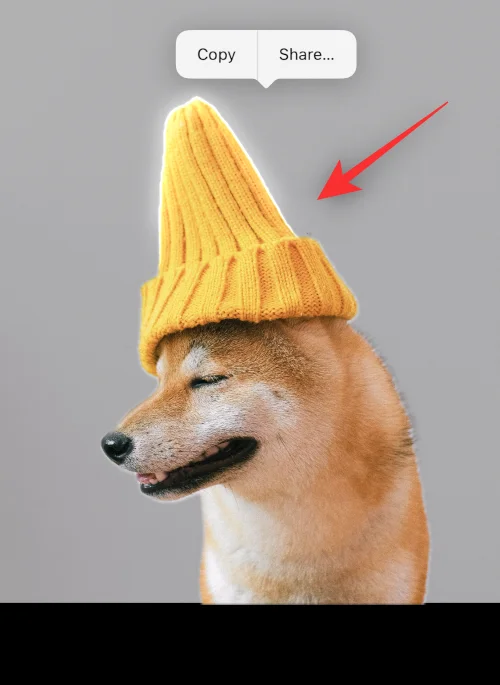 IOS 16 Photo Cutout: Top 6 måder at oprette en udskæring på og 4 måder at indsætte og bruge det