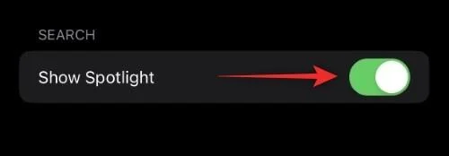 Hva er søkeknappen på startskjermen på iOS 16?