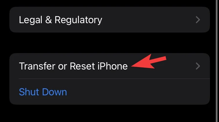IOS 15 élő szöveg nem működik?  Szöveg javítása és beolvasása képekből