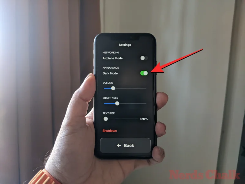Hur man anpassar assisterande åtkomst på iPhone