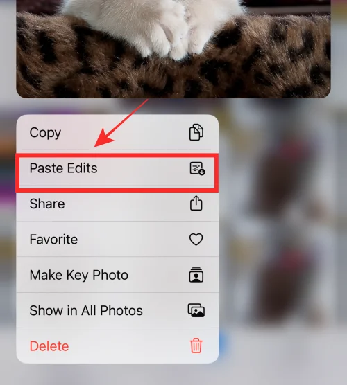 Hur man kopierar redigeringar i Photos App på iPhone på iOS 16