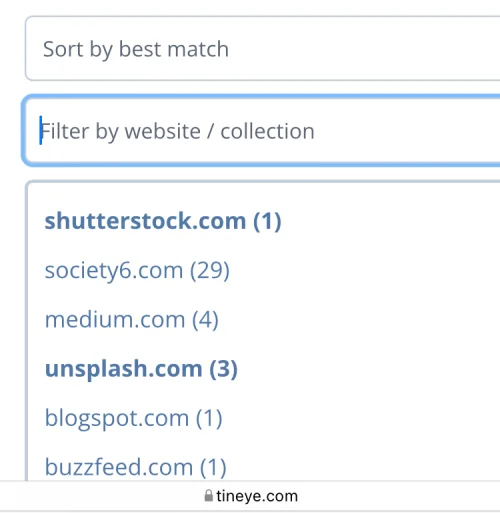 11 nemme måder at lave omvendt billedsøgning på iPhone