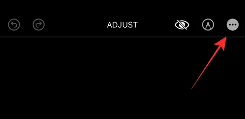 Hur man kopierar redigeringar i Photos App på iPhone på iOS 16
