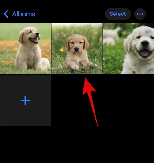 IOS 16: Hvordan lage klistremerker fra bilder