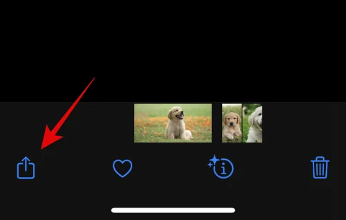 IOS 16: Hvordan lage klistremerker fra bilder