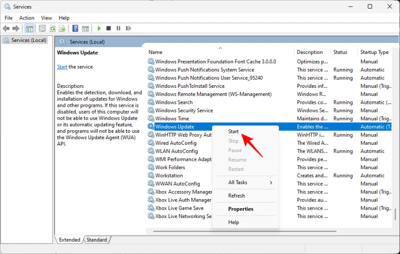 7 způsobů, jak opravit „chybu stahování 0x80248007“ v systému Windows [Průvodce krok za krokem]
