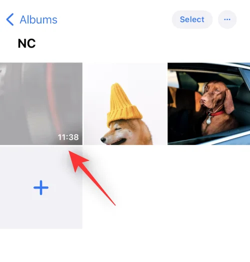 IOS 16 Photo Cutout: Top 6 måder at oprette en udskæring på og 4 måder at indsætte og bruge det