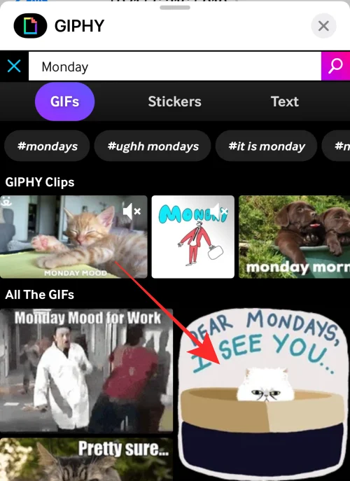 GIF-файли не працюють на iPhone?  Як виправити 10 способами