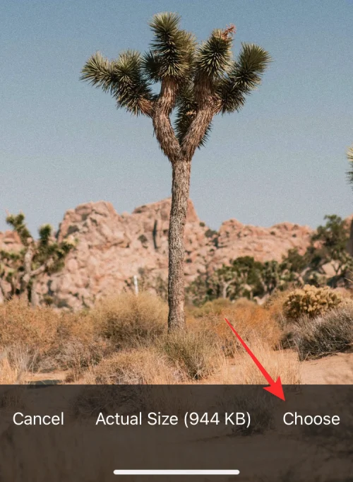 11 nemme måder at lave omvendt billedsøgning på iPhone