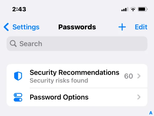 Slik gjenoppretter du slettede passord på iPhone på iOS 17