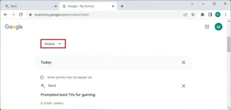 Kuinka tyhjentää Google Bard AI -toimintahistoria