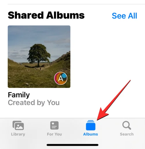 Fotók elrejtése iPhone-on [2023]