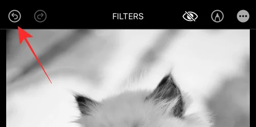 Hur man kopierar redigeringar i Photos App på iPhone på iOS 16