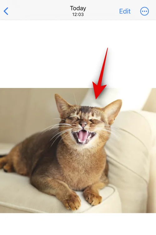 Élő matricák létrehozása fényképeiből iOS 17 és újabb rendszeren