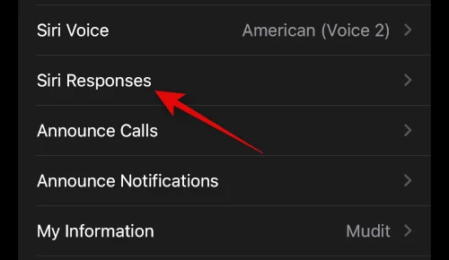 Hur man får Siri på iPhone 14 och använder den