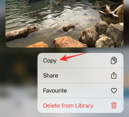 11 nemme måder at lave omvendt billedsøgning på iPhone