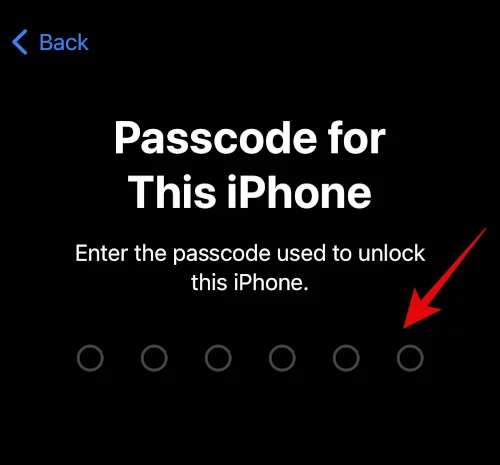 IOS 16 fotoudskæring virker ikke?  Sådan rettes på 8 måder