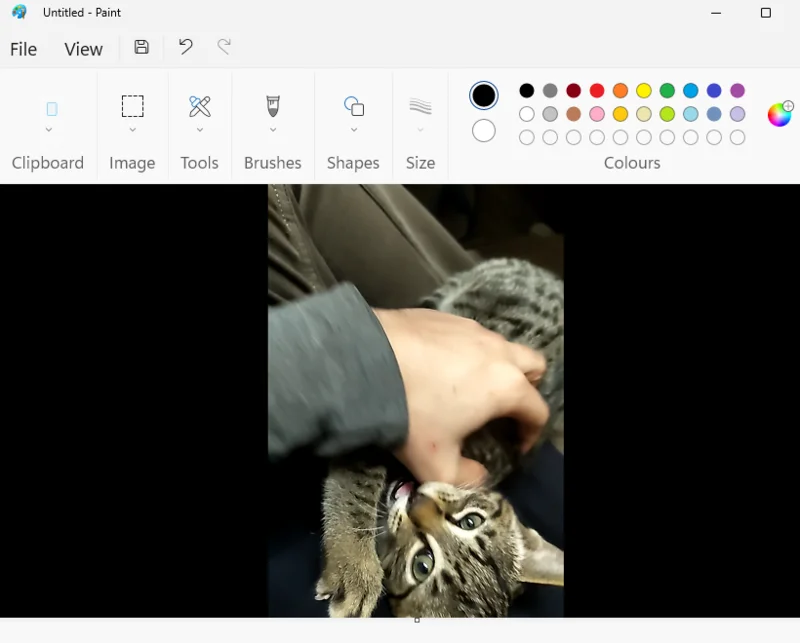 Jak zmrazit snímek v Clipchamp: Průvodce krok za krokem