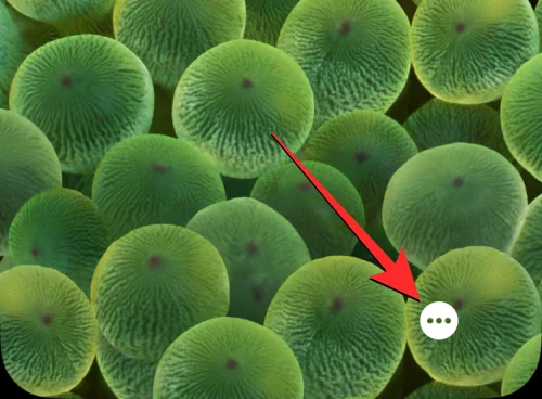 Екран блокування IOS 16: як показати весь годинник попереду або дозволити об’єкту попереду