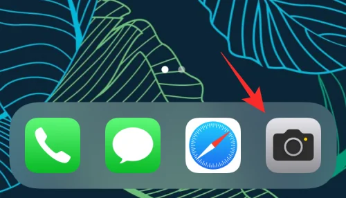 IOS 15 lommelykt fungerer ikke?  Slik fikser du på 12 måter