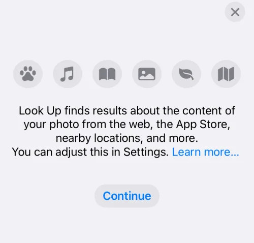 A Visual Look Up nem működik iPhone-on?  7 módszer a javításra