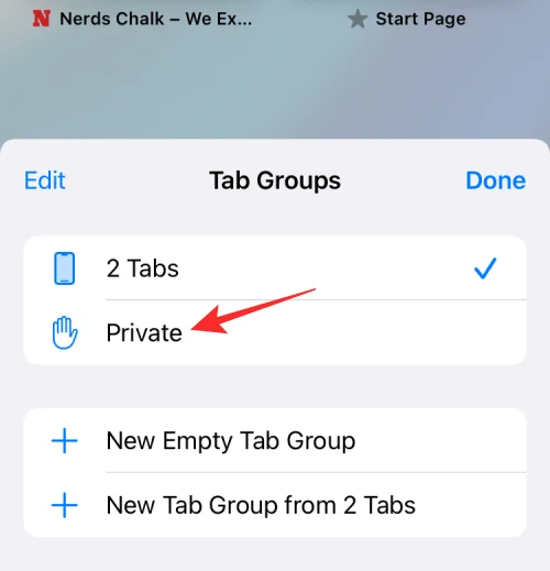 Sådan tjekker du privat browserhistorik på iPhone