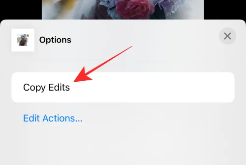 Hur man kopierar redigeringar i Photos App på iPhone på iOS 16
