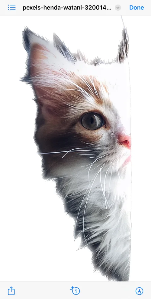 [Легко] Як видалити фон за допомогою програми Files на iPhone або iPad