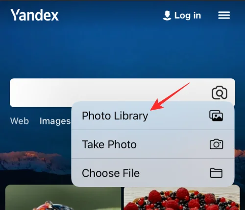 11 nemme måder at lave omvendt billedsøgning på iPhone