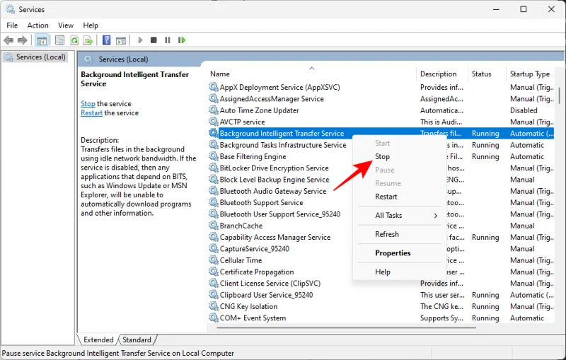 7 způsobů, jak opravit „chybu stahování 0x80248007“ v systému Windows [Průvodce krok za krokem]
