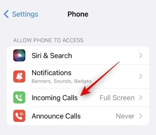 Hogyan lehet a Facetime-ot teljes képernyőssé tenni iPhone-on