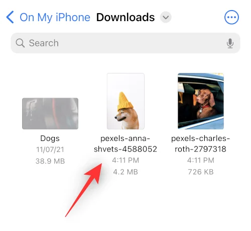 IOS 16 Photo Cutout: Top 6 måder at oprette en udskæring på og 4 måder at indsætte og bruge det