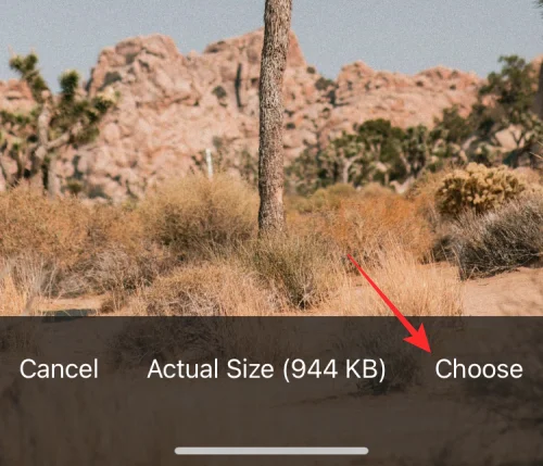 11 nemme måder at lave omvendt billedsøgning på iPhone