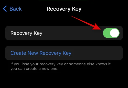 Vad är avancerat dataskydd på iPhone?  Hur man aktiverar det och varför