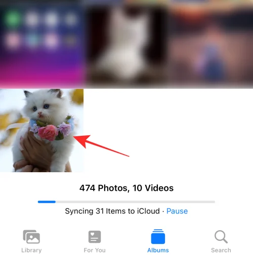 Hur man kopierar redigeringar i Photos App på iPhone på iOS 16