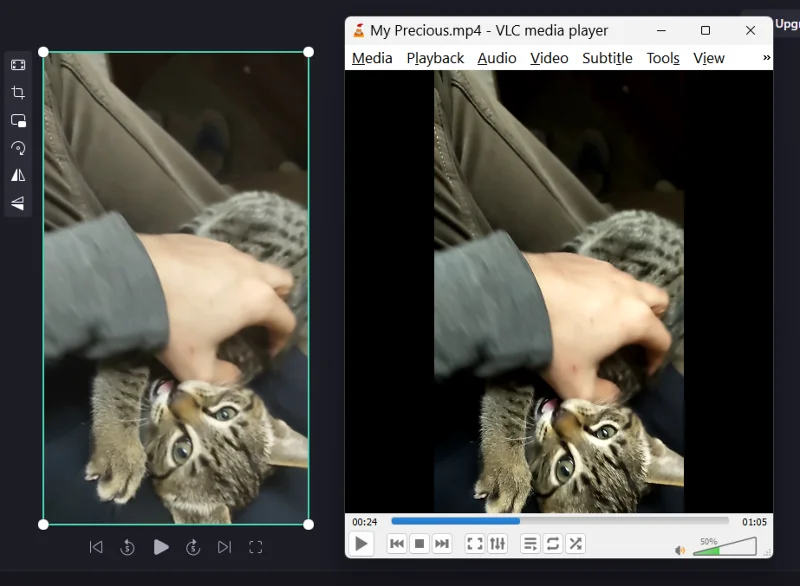 Jak zmrazit snímek v Clipchamp: Průvodce krok za krokem
