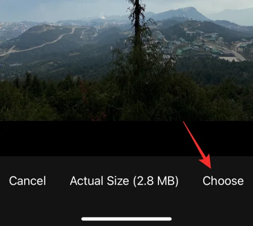 11 nemme måder at lave omvendt billedsøgning på iPhone