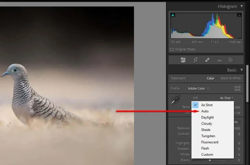 10 Lightroom-redigeringstips för att förbättra dina färdigheter
