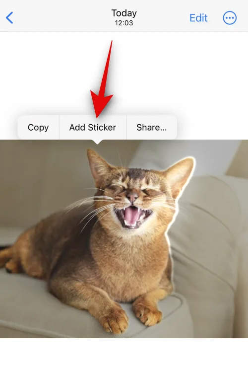 Élő matricák létrehozása fényképeiből iOS 17 és újabb rendszeren